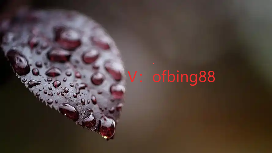 博森科技CCR智能炒币机器人：交易态度让我们赢在起跑线上