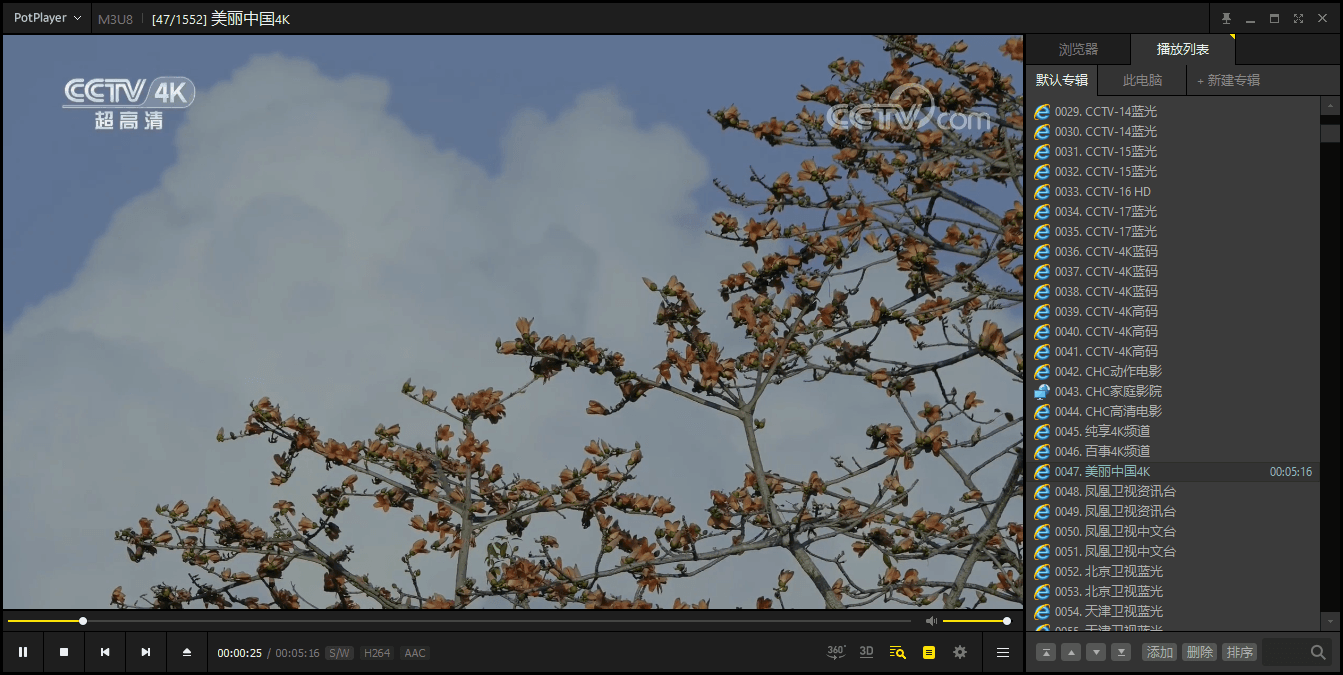 PotPlayer v1.7.22611绿色版