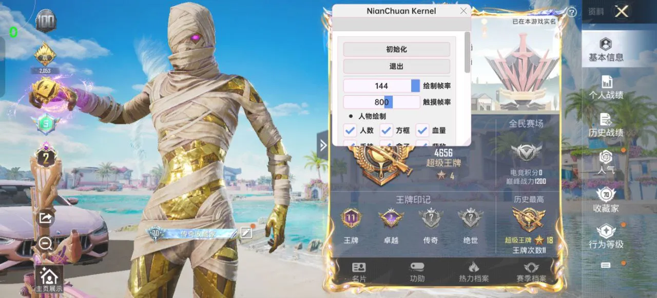 和平海岛·NianChuan公益内核多功能免费插件