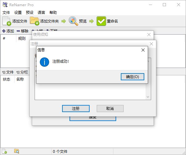批量文件重命名工具ReNamer Pro v7.8.0.1便携版