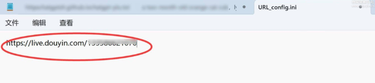 直播间录制工具 超级好用