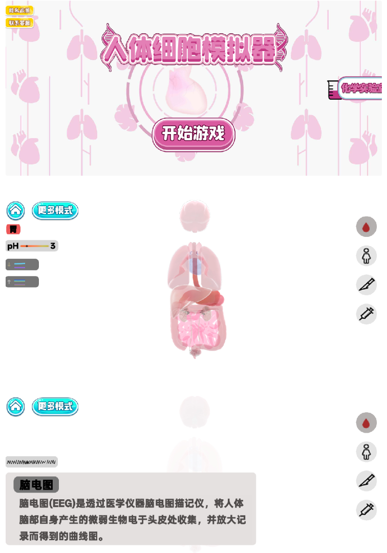 人体细胞模拟器v1.5
