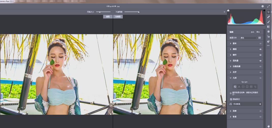 RAW处理Adobe Camera Raw v18.2.0中文版-趣奇资源网-第4张图片 RAW处理Adobe Camera Raw v18.2.0中文版