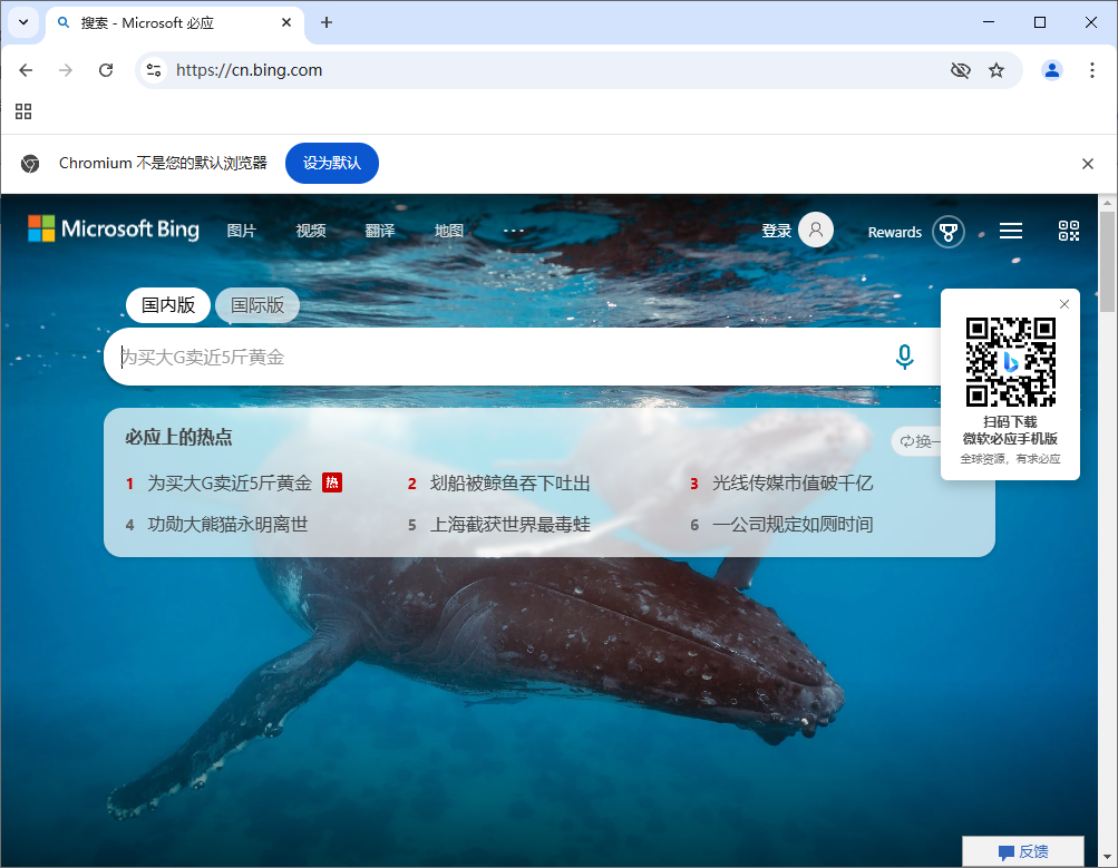 Ungoogled-Chromium v146.0.7680.153-1.1 中文绿色版