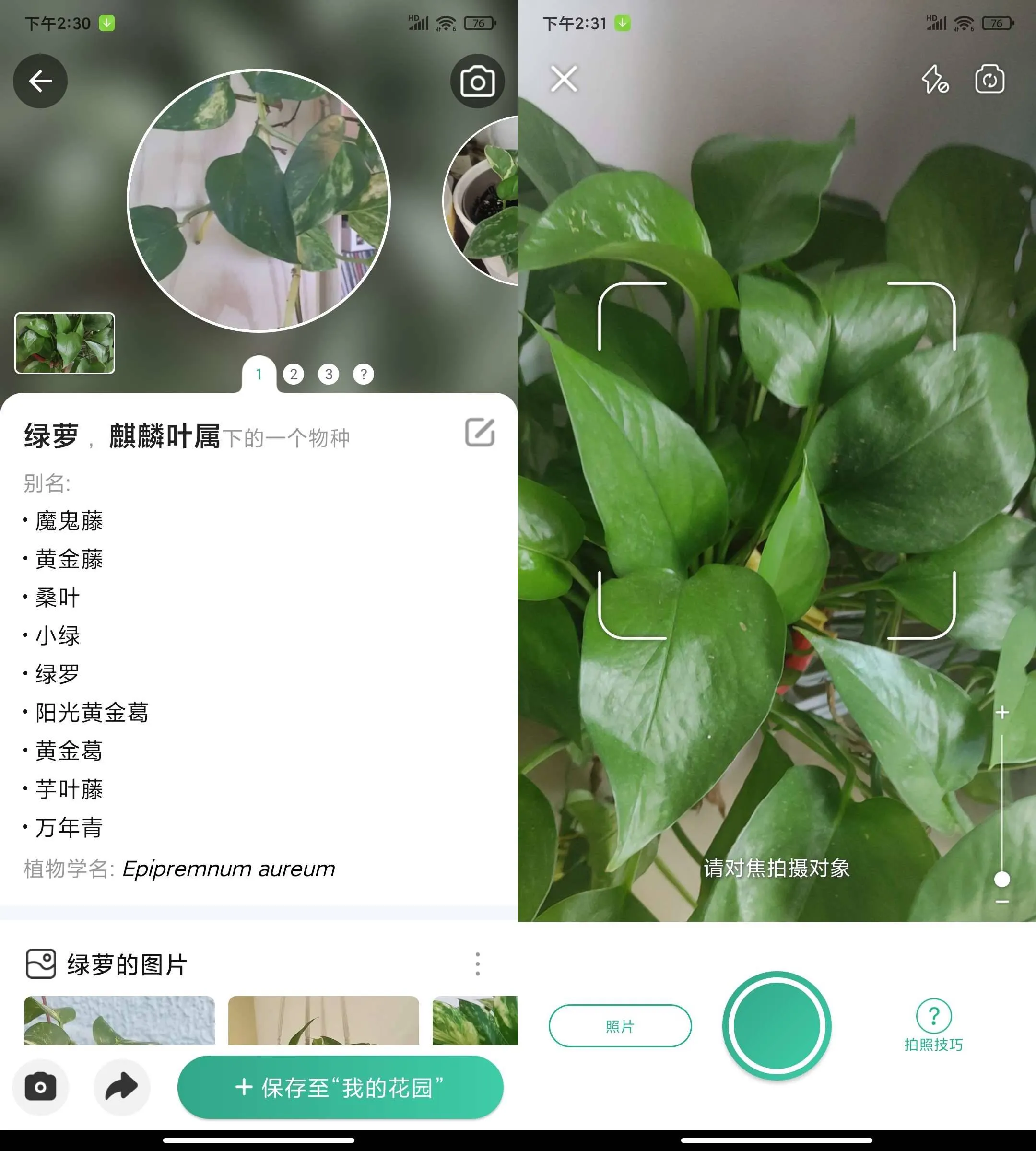 Android PictureThis 植物识别 v5.23.0 解锁高级版