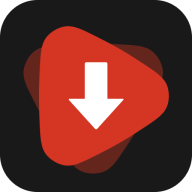 WDownloader v1.6.45 多社交平台视频解析保存软件