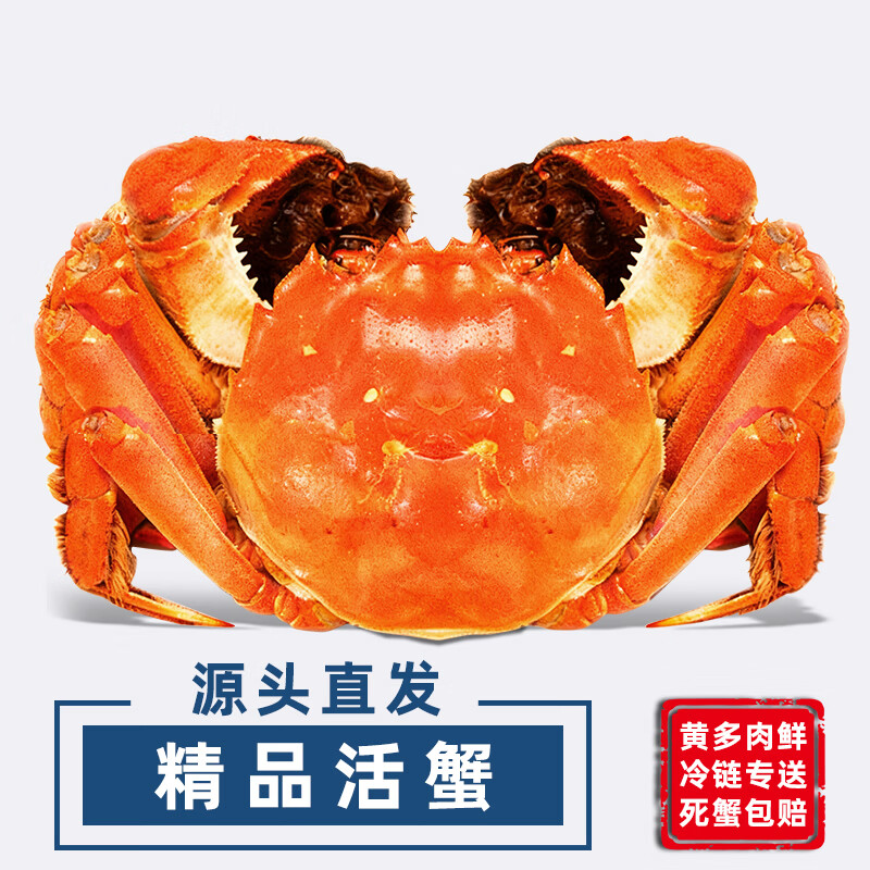 陈鲜生 鲜活大闸蟹螃蟹礼盒 全母蟹3.0-3.3两 4对8只  168元自