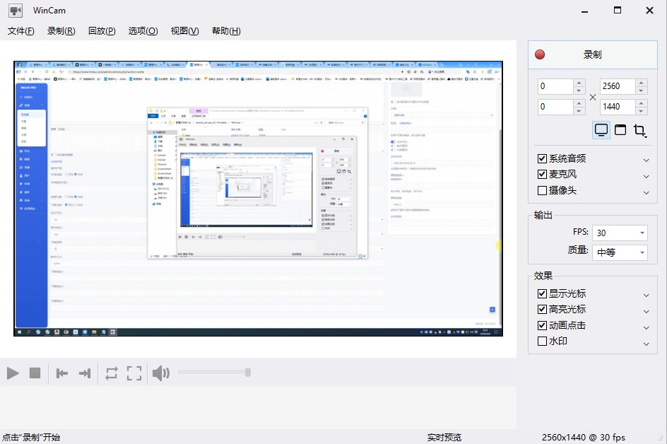 NTWind WinCam(专业屏幕录制软件) v4.3 多语便携版