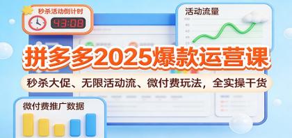 拼多多2025爆款运营课:秒杀大促、无限活动流、微付费玩法,全实操干货-颜夕资源网-第18张图片 拼多多2025爆款运营课:秒杀大促、无限活动流、微付费玩法,全实操干货