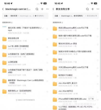 Blackmagic Cam Lut包影视飓风+馆长Lut 木木等滤镜包