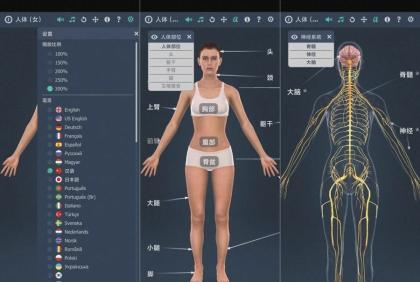 人体系统女性3D-1.0详细介绍女性全身系统～无广版