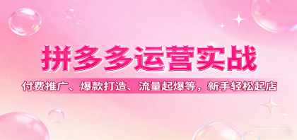 拼多多运营实战，付费推广、爆款打造、流量起爆等，新手轻松起店