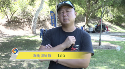 宠物训练-训狗教程Dog Training