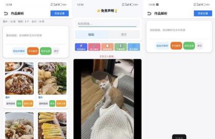 小沙雕下载器1.0多平台去水印