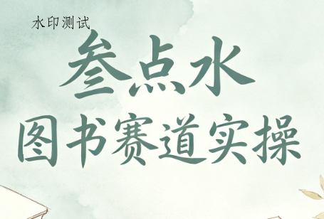 叁点水图书赛道实操