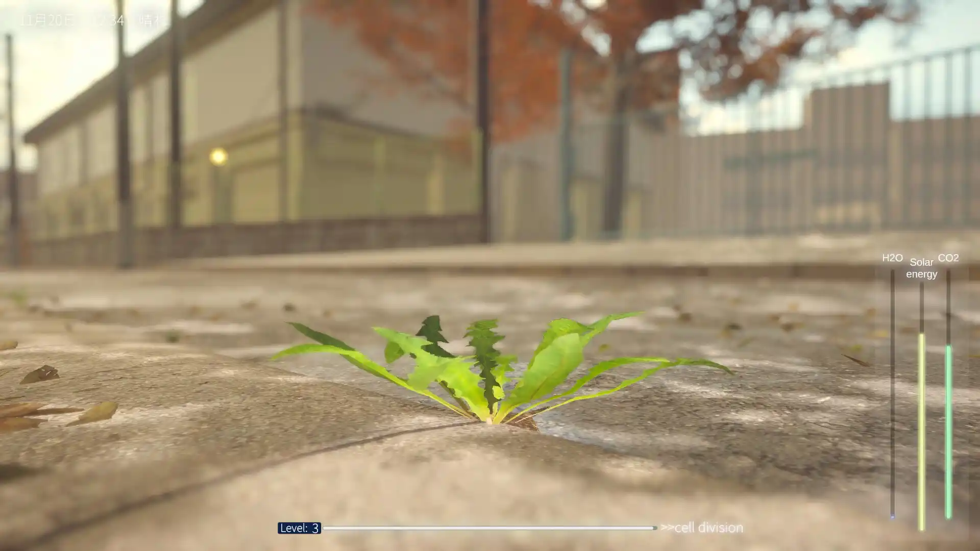 蒲公英不屈。/The Dandelion Endures.