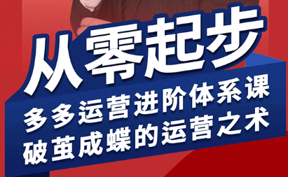 海神·拼多多运营进阶系统课(更新8月)