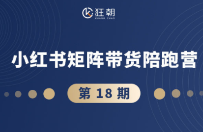 盗坤·抖音小红书视频号短视频带货与直播变现(11-18期)