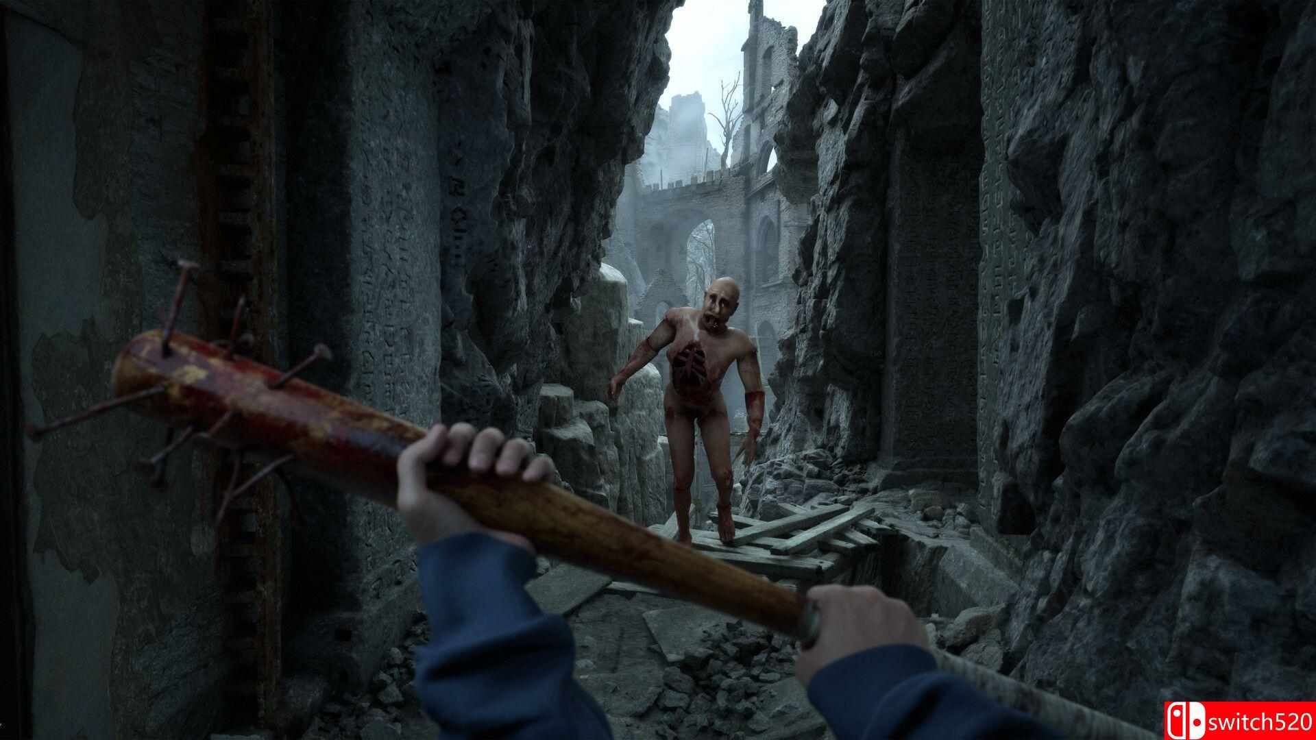 《荒凉避难所（Bleak Haven）》官方中文 [中文/英文/日语]