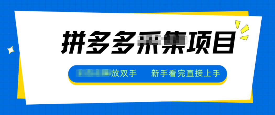 拼多多电商采集，一小时50+，操作简单，零投资