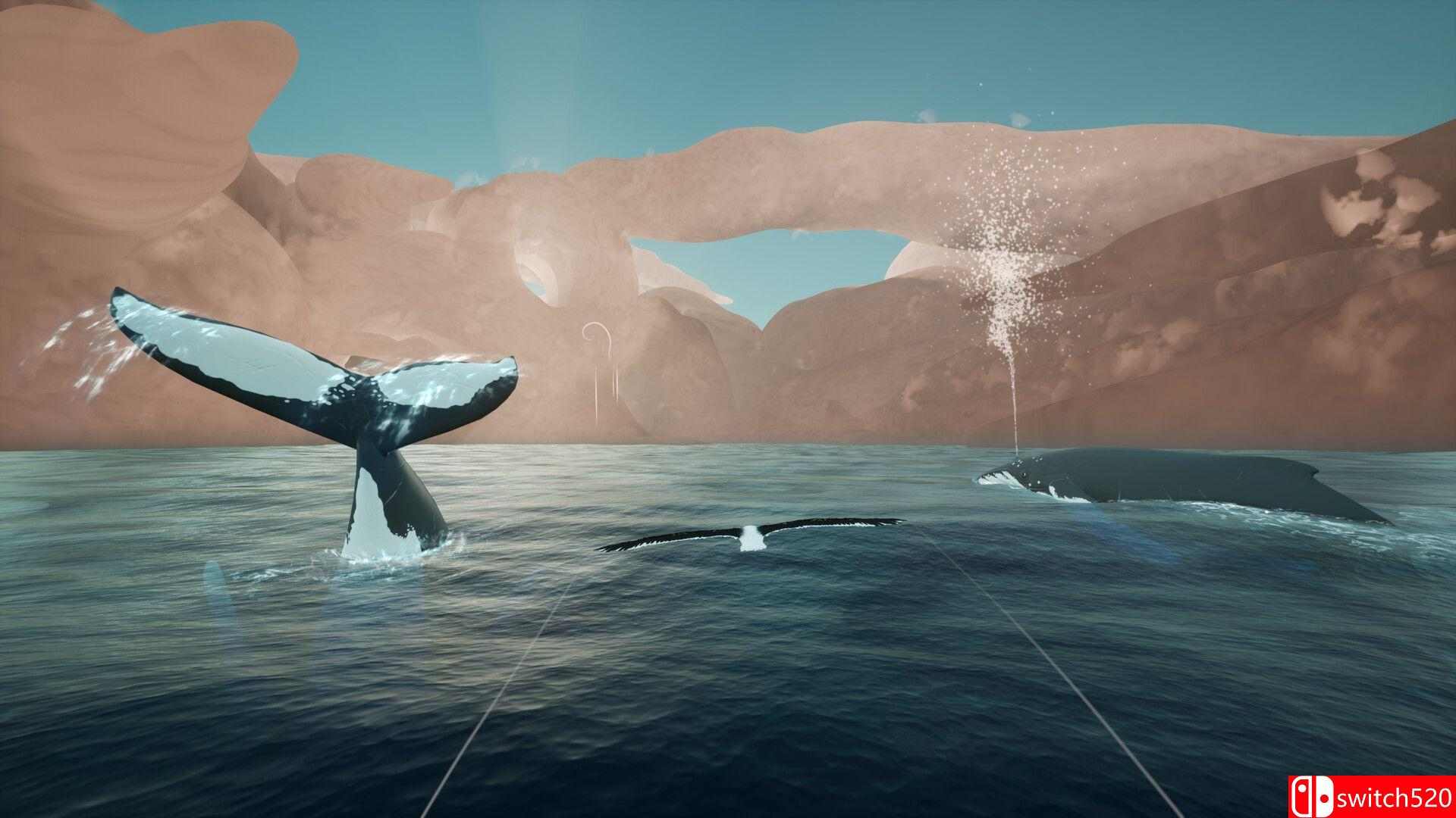 《托罗阿：天际呼唤（Toroa: Skycall）》[英文]