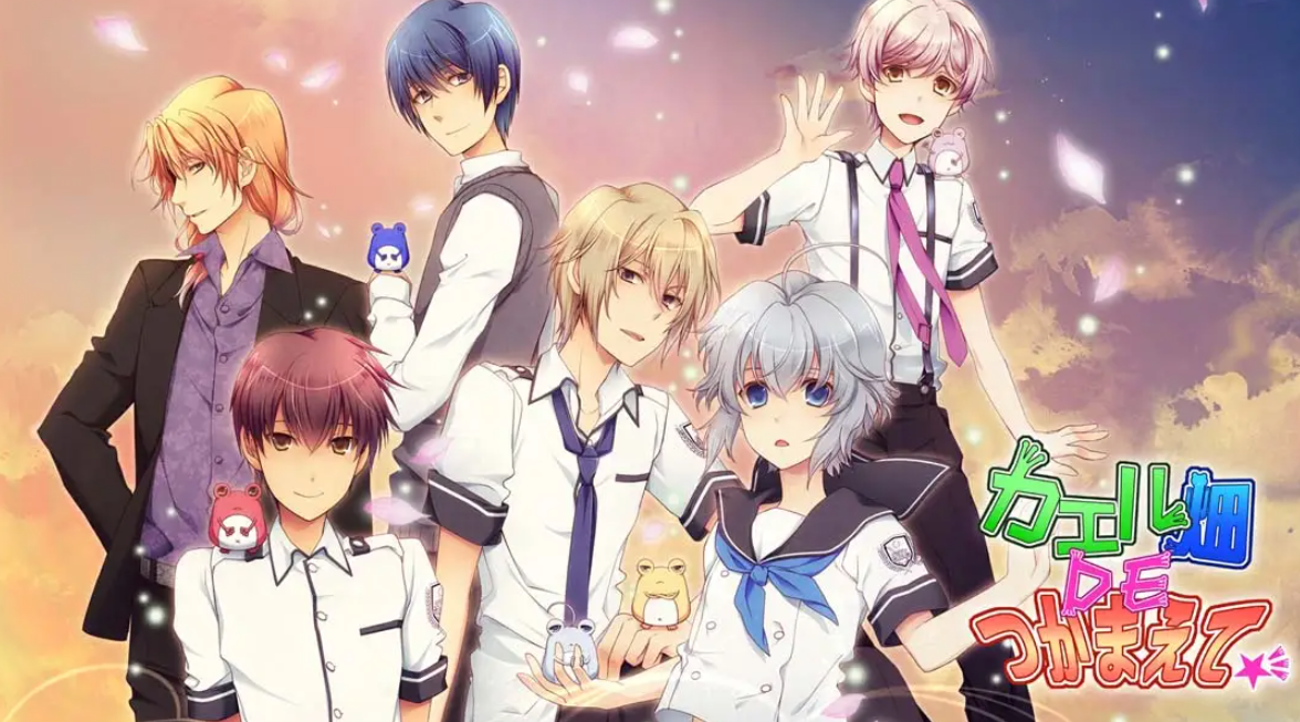 《蛙畑奇事 カエル畑DEつかまえて 乙女》Switch日文版XCI下载 – 含1.0.0补丁