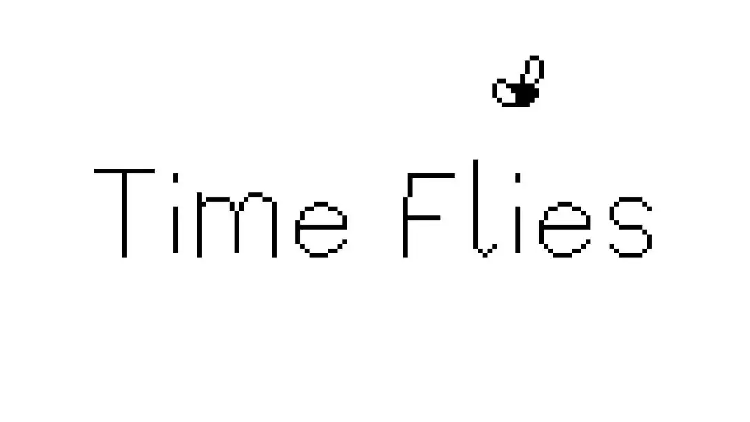 【美版】逝者如斯蝇 .Time Flies 中文
