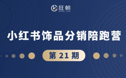 盗坤·抖音小红书视频号短视频带货与直播变现(11-21期)