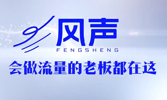 董十一·风声短视频AI获客年度会员
