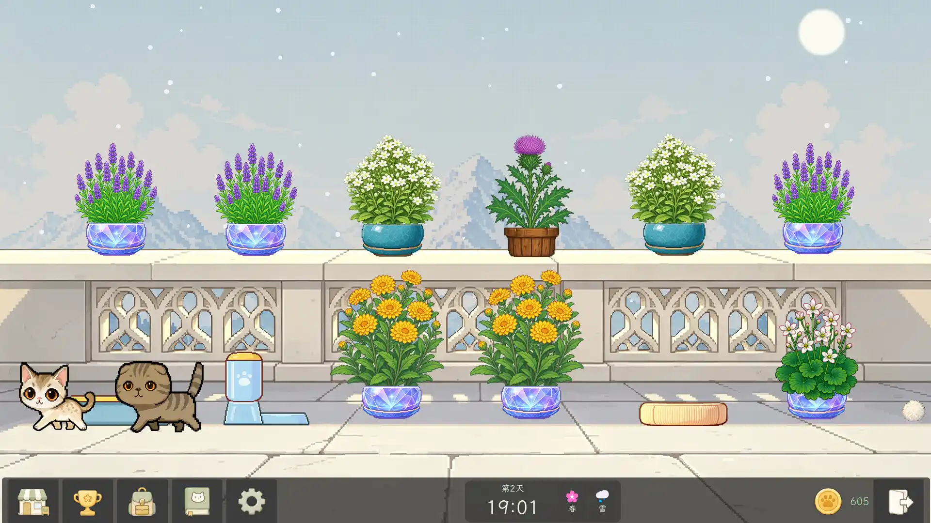 花开猫来/Bloom Cats