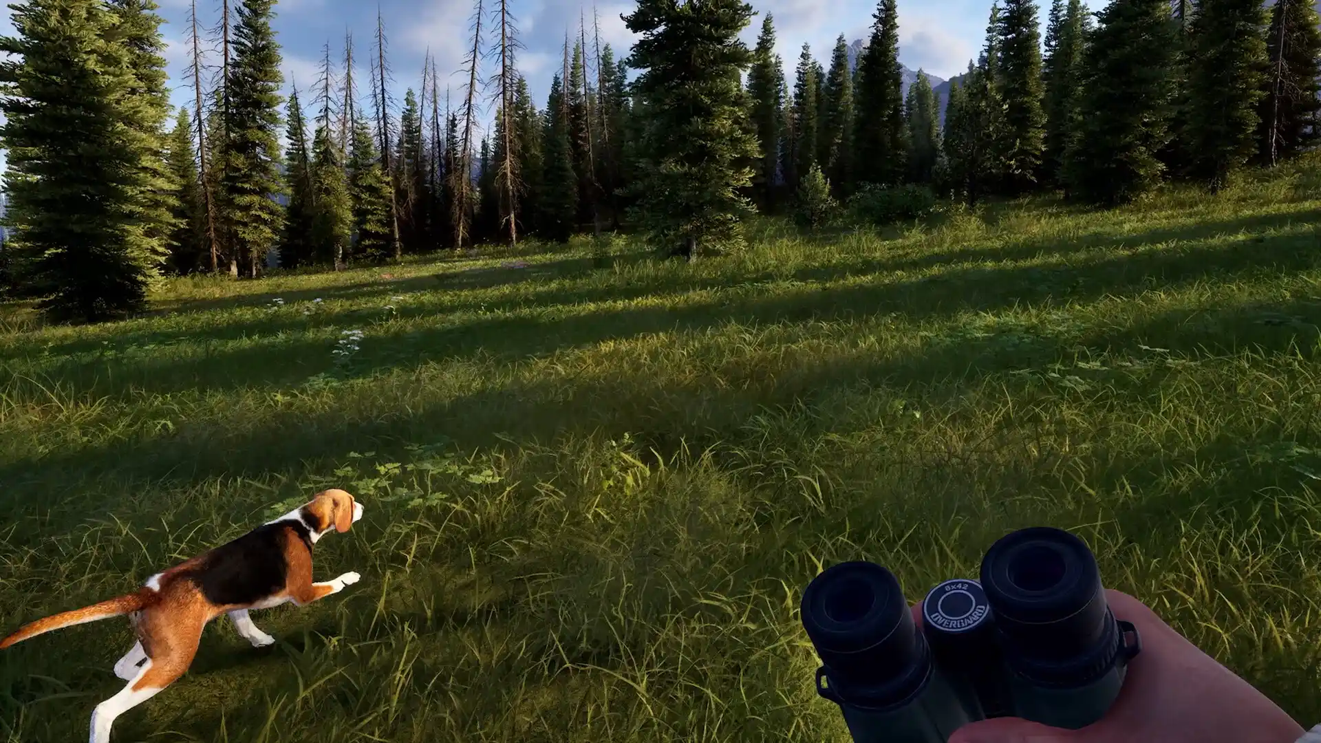 狩猎之道2/Way of the Hunter 2