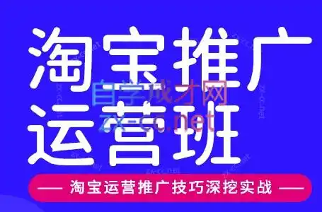 美迪电商·淘宝高级运营班+推广运营班(更新10月)