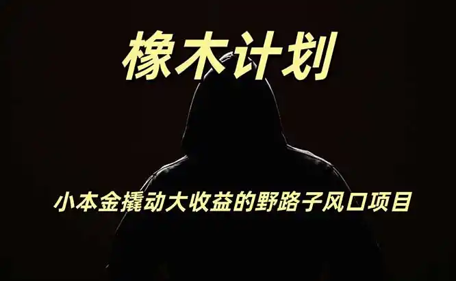 橡木计划,小投入撬动高回报的风口野路子项目,一天投入2小时左右