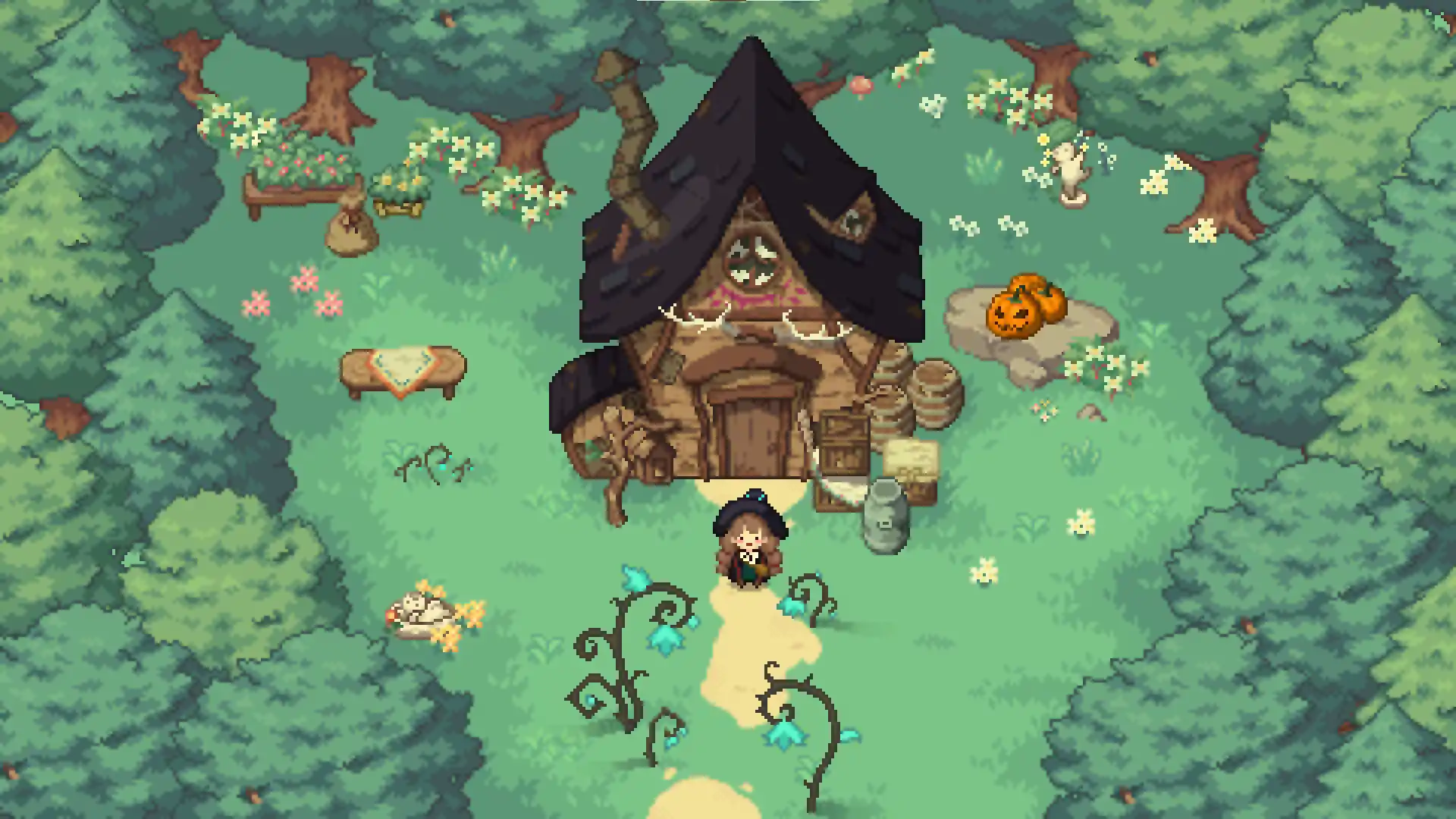 1652788555346611.jpg 林中小女巫/Little Witch in the Woods