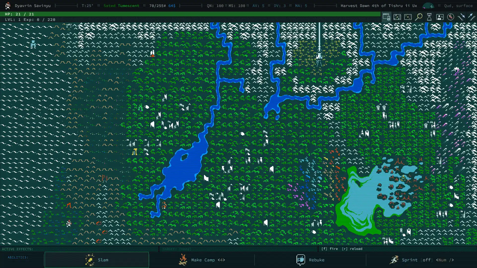 卡德洞窟/Caves of Qud