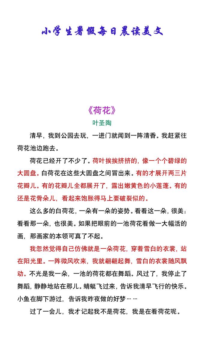 小学生暑假每日晨读美文:叶圣陶《荷花》-小升初语文