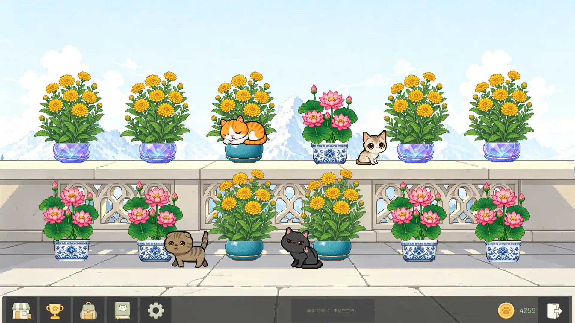 花开猫来/Bloom Cats