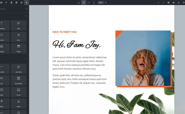 WordPress主题Bricks v1.9 破解版