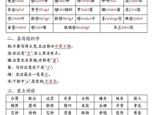 五上语文期中高频考点