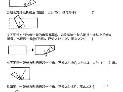 四上数学【折叠图形中的角度问题专项练】