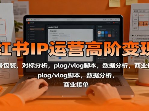 小红书IP运营高阶变现课:账号包装,对标分析,plog/vlog脚本,数据分析,商业接单