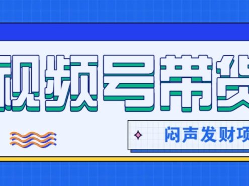 微信视频号带货项目，轻松日赚赚2000+，这个挣钱入口很多伙伴都在闷声发财