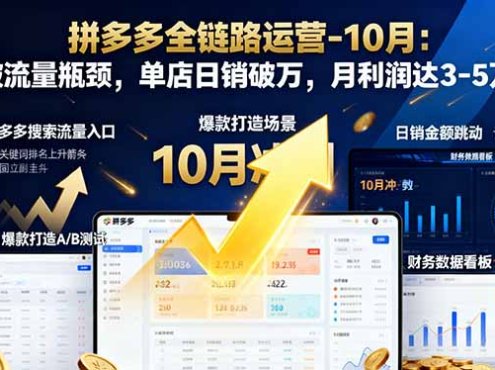 拼多多全链路运营-10月：突破流量瓶颈，单店日销破万，月利润达3-5万元