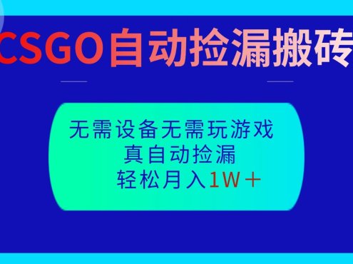 CSGO自动捡漏搬砖，当天操作当天见结果，无需了解游戏，包教包会包落地