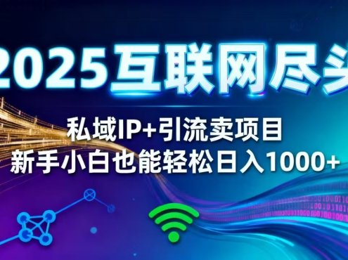 2025网创尽头王炸项目!私域 IP + 精准引流,新手小白在家躺赚日入 1000+