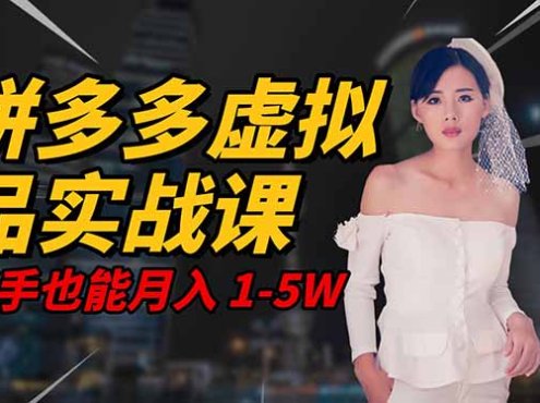2025 拼多多虚拟品系统实战课,轻资产项目,可矩阵开工作室,新手也能…
