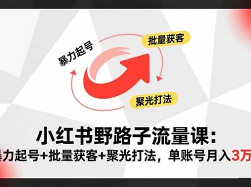 小红书野路子流量课：暴力起号+批量获客+聚光打法，单账号月入3万+