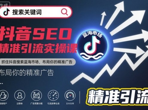 抖音SEO精准引流实操课,抓住抖音搜索蓝海市场,布局你的精准广告