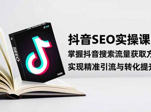 抖音SEO实战引流课:掌握抖音搜索流量获取方法,实现精准引流与转化提升