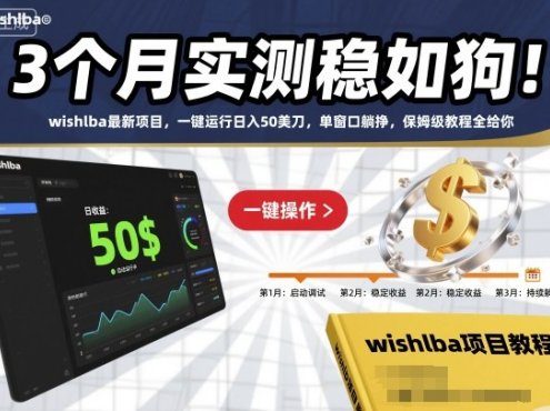 3个月实测稳如狗!wishlba最新项目,一键运行日入50美刀,单窗口躺挣,保姆级教程全给你【揭秘】